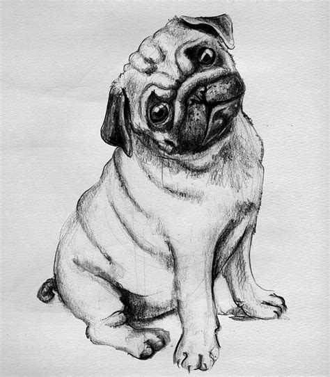 Pug Pug Art Print Pug Art Pugs