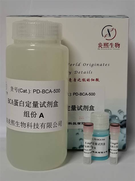 Bca蛋白定量试剂盒 Bca法测蛋白浓度 炎熙生物