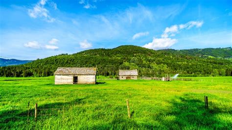 Old Barns Along The Heffley Louis Creek Road In BC Canada Stock Photo