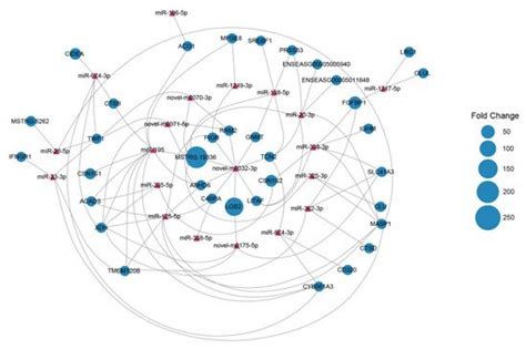 Genes Free Full Text An Integrated Analysis Of Lactation Related