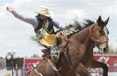 Saddle Bronc, CFD 2014