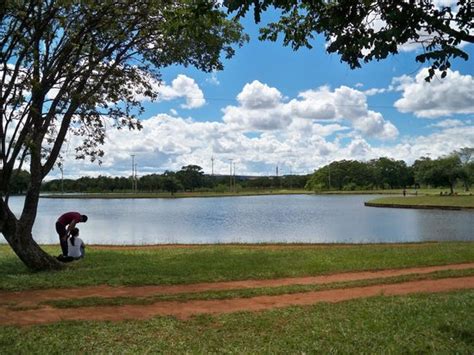 Parque Da Cidade Sarah Kubitschek Brasilia 2021 Ce Qu Il Faut