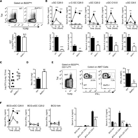 A Single Subset Of Dendritic Cells Controls The Cytokine Bias Of