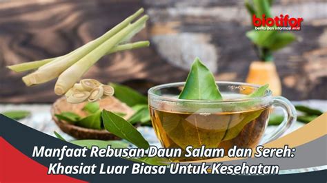 Manfaat Rebusan Daun Salam Dan Sereh Khasiat Luar Biasa Untuk Kesehatan