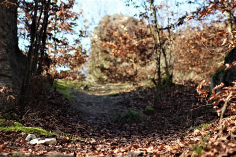 Wundersch Ne Und Geheimnisvolle Burgruinen Im Anlautertal