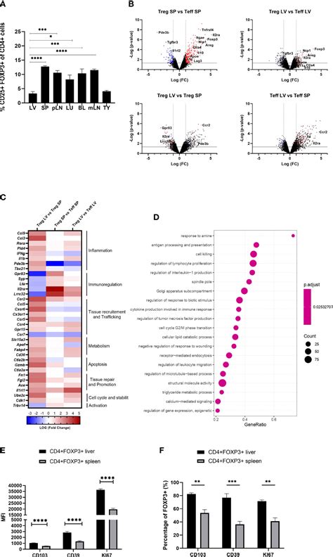 Frontiers Il Availability Regulates The Tissue Specific Phenotype