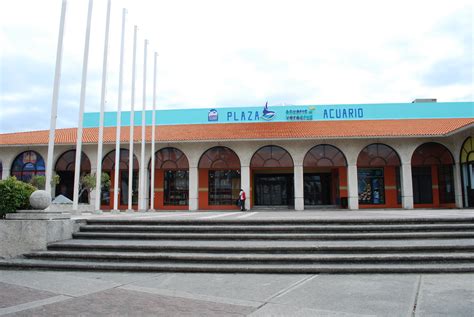 Aquarium Del Puerto De Veracruz Museos M Xico Sistema De