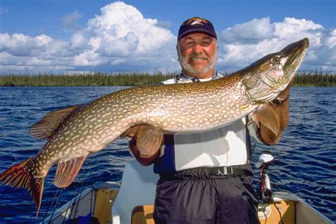 Wollaston Lake Is One Of The Fishn Canada Shows Most Memorable