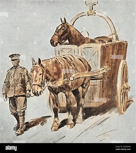 A Horse Drawn Ambulance For Horses During The First World War Part Of