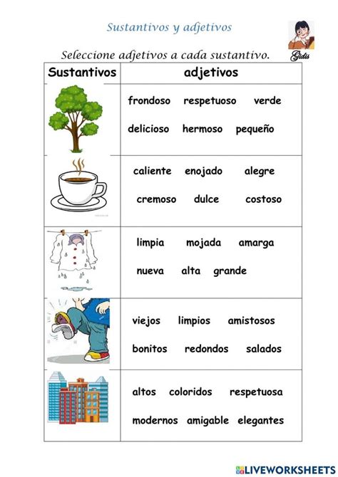 Sustantivos Y Adjetivos Activity For Segundo Sustantivos Y Adjetivos