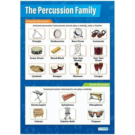 Percussion Family Laminated Wallchart . SG Education | Arts, Crafts & Educational Supplier ...