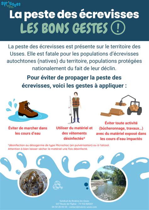 La peste des écrevisses est présente sur le territoire des Usses Smecru