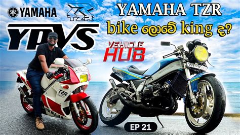 Vehicle Hub Yamaha Tzr Bike King Ep Youtube