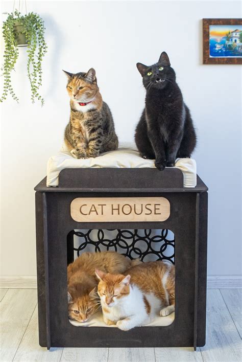 Personalized Cat House Cat House Indoor Cat House With - Etsy