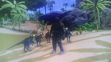 The Human Troodon. | Wiki | Ark Survival Evolved Amino