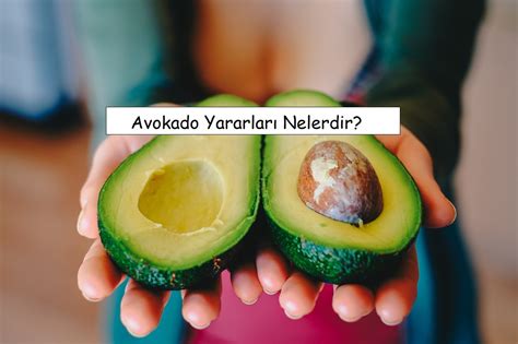 Avokado Yararlar Nelerdir Gelecekten Net