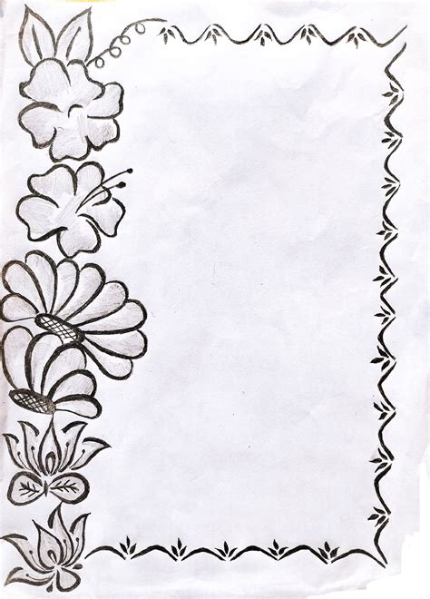 A pencil drawing of flowers and leaves