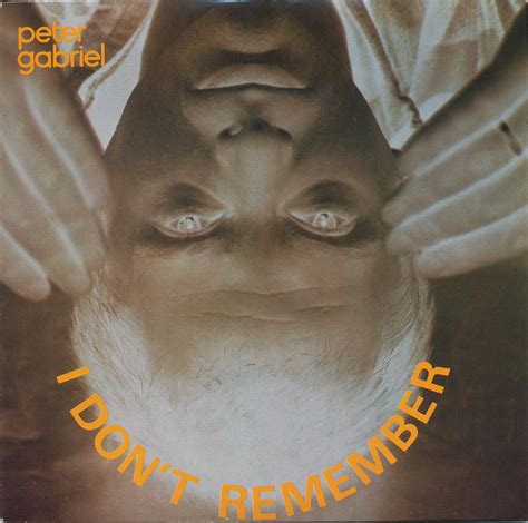 I Don T Remember Meaning In Hindi 1