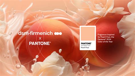 Pantone Unveils Color Of The Year Dsm Firmenich Creates Peach Fuzz