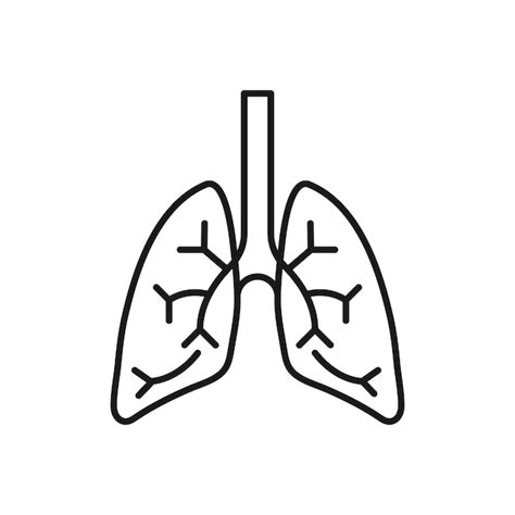 Icono De Línea Plana Del Corazón Pictograma Delgado Vectorial Del