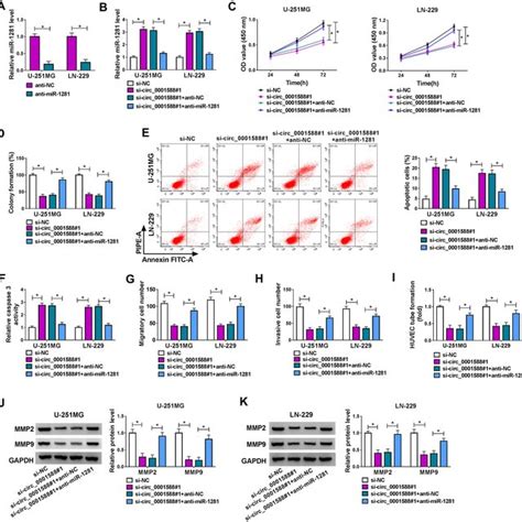 Circ Modulated Glioma Tumorigenesis By Trapping Mir In