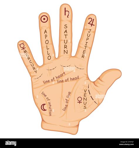 Palm Reading Palmistry Hi Res Stock Photography And Images Alamy