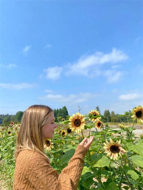 sunflower vol. 6 -harry styles | Flower aesthetic, Instagram aesthetic, Flowers