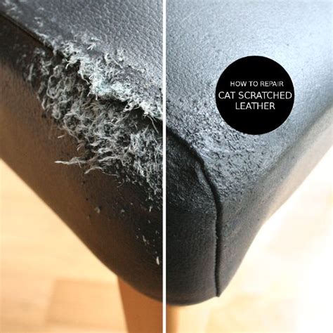 How To Repair Cat Scratched Leather Leather Couch Repair Leather