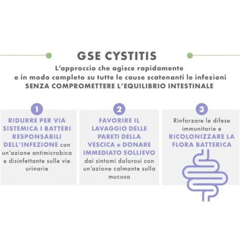 GSE Cystitis Rapid Integratore Per Cistite 30 Compresse TuttoFarma