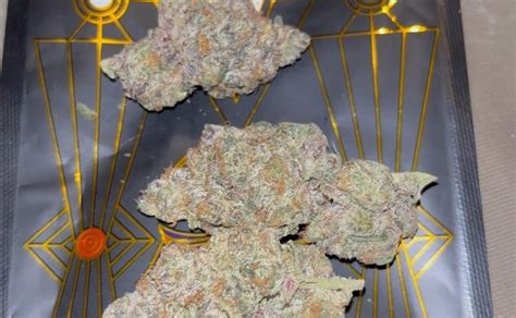 Strain Review Apple Fritter By Higher Growth Gardens The Highest Critic