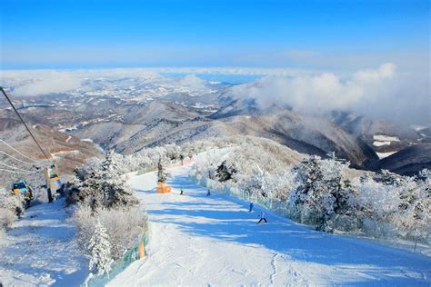 Yongpyong Ski Resort And Getting There Koreatodo