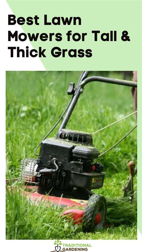 The Best Lawn Mowers For Small Yards In Artofit