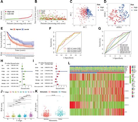 Identification Of M7g Associated Lncrna Prognostic Signature For