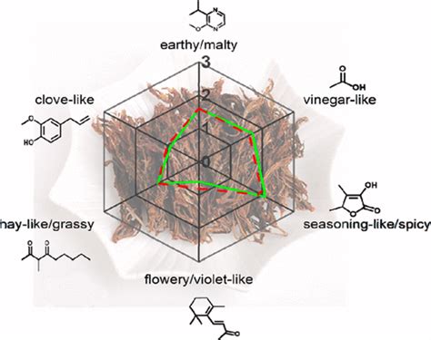 Characterization Of The Key Aroma Compounds In Two Differently Dried