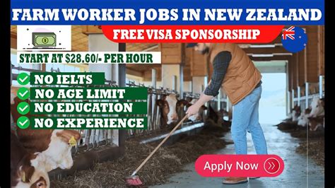 Farm Worker Jobs In New Zealand With Visa Sponsorship Abroad