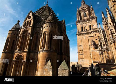 Torre Del Gallo Detalle Del Cimborrio Gallonado De La Catedral Vieja