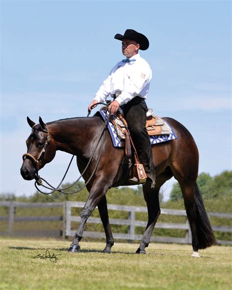 Chafin Performance Horses | Equine Chronicle