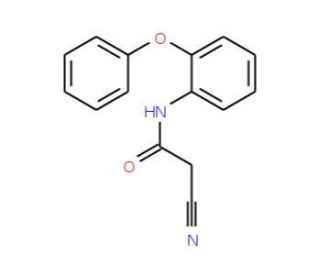 Cyano N Phenoxy Phenyl Acetamide Scbt Santa Cruz Biotechnology