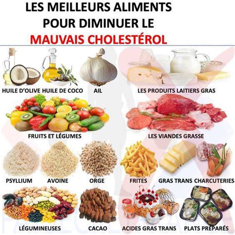 Les Meilleurs Aliments Pour Diminuer Le Mauvais Cholest Rol Nutrition