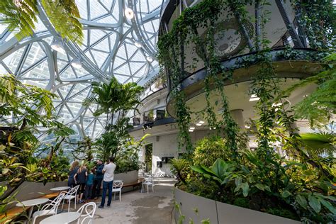 The Spheres in the New Amazon Headquarters | Wowow Home Magazine