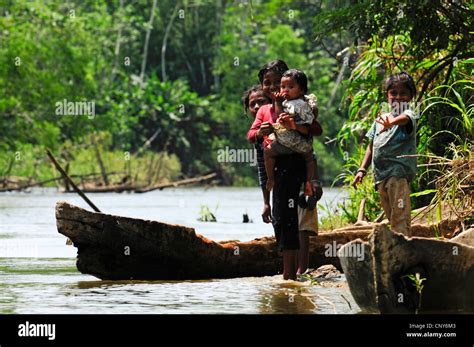 Children Of Miskito People At A River Bank Honduras La Mosquitia Las