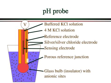 Ppt Ph Measurements Powerpoint Presentation Free Download Id 663069