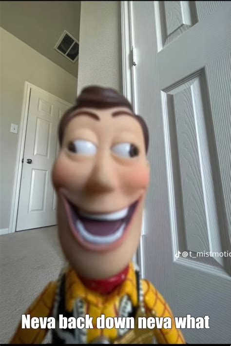 Create Meme Woodys Face Woody Toy Woodys Toy Story Pictures