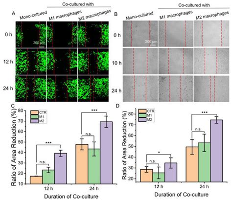 A Microfluidic Cell Co-Culture Chip for the Monitoring of Interactions ... 