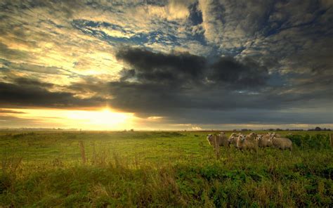 Farm Scenes Wallpaper - WallpaperSafari