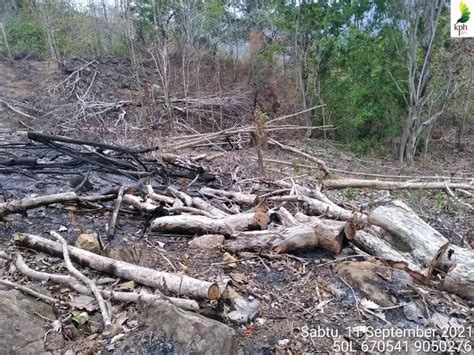 Ratusan Ribu Hektare Lahan Di Ntb Dilaporkan Situasi Kritis