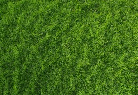 Premium Photo Lush Green Grass Texture Background