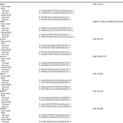 Oligonucleotide Primer Sequences Download Table