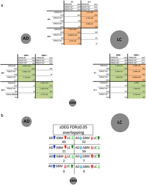 Overlaps Between Significantly Differentially Expressed Genes SDEGs