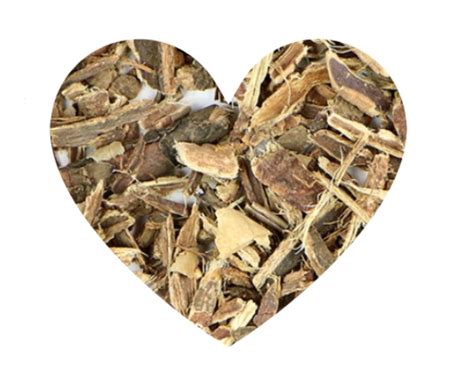 Discover Bayberry Root Bark At Crystal Connection Shop Now